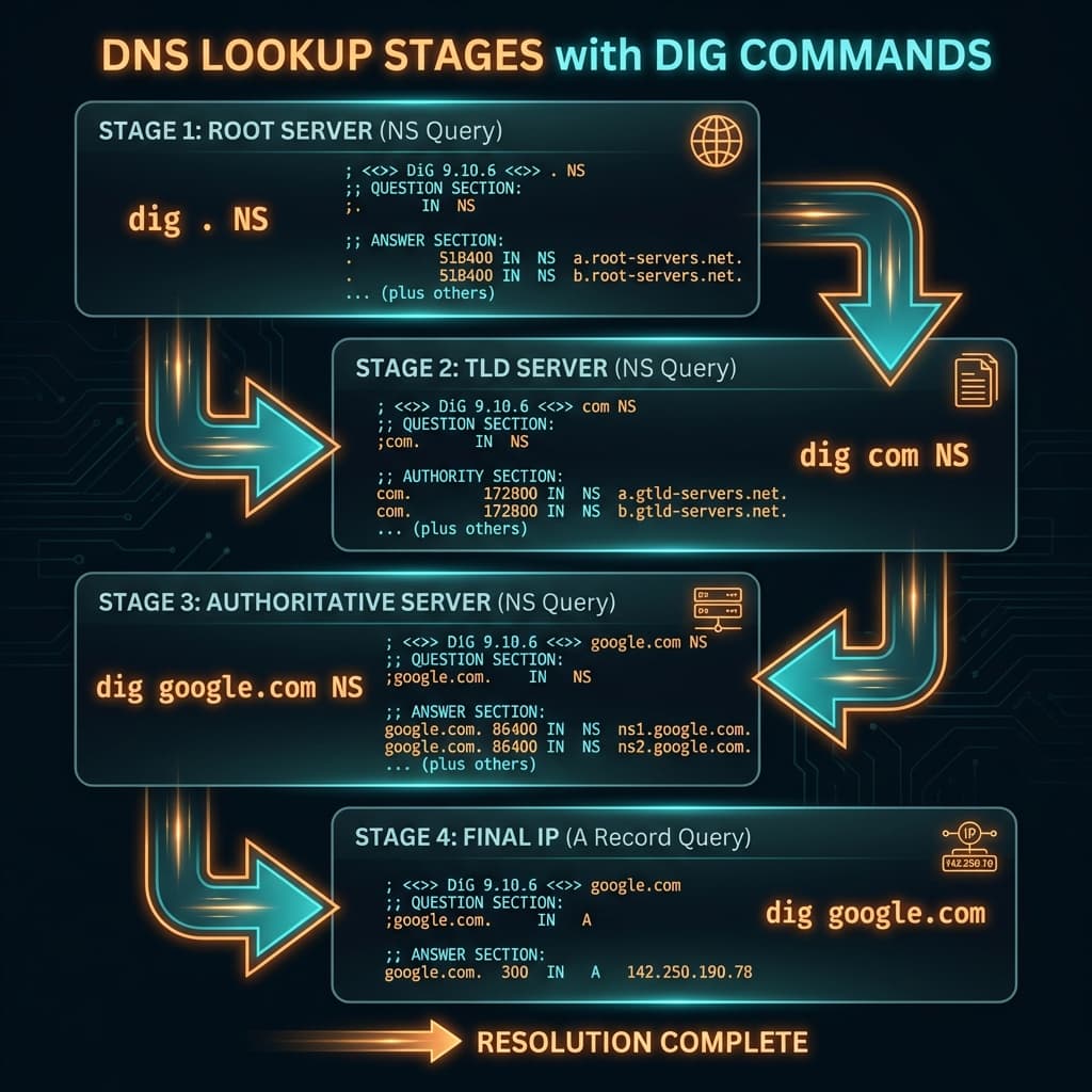 dig commands mapped to DNS lookup stages
